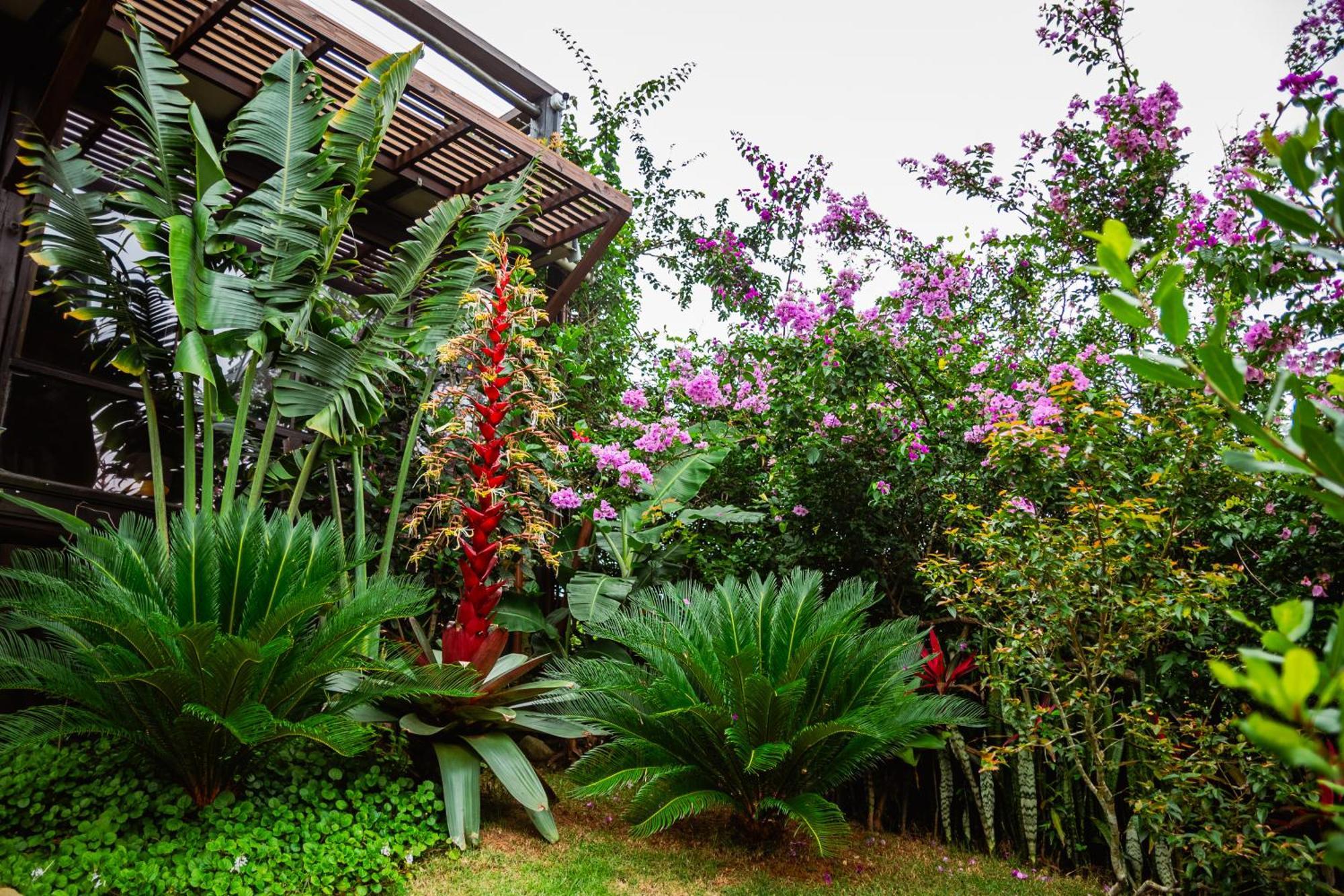 Villa Ibiraquera Life à Praia do Rosa Extérieur photo